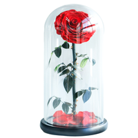 Fleurs de roses éternelles roses préservées pour toujours dans un dôme en verre avec LED pour la fête des mères, Noël ou la Saint-Valentin, forme ronde