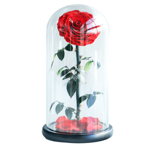 Flores rosas eternas Rosas preservadas para siempre <span class=keywords><strong>en</strong></span> cúpula de cristal con LED para <span class=keywords><strong>el</strong></span> día de <span class=keywords><strong>la</strong></span> madre Navidad o San Valentín forma redonda - Product Image 3