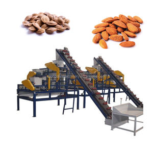 Línea de Producción de Pistachos de 1000 kg/h, Línea de Procesamiento de Pistachos, Máquina Descascaradora y Trituradora de Pistachos y Almendras - Product Image 4