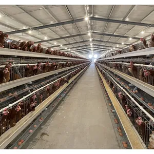 半自动鸡肉笼热镀锌低价蛋鸡蛋笼家禽养殖场免费设计