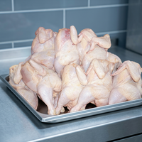 Poulet Halal Entier Congelé de Qualité Supérieure de Thaïlande, Grade A, 2,5 kg, Durée de Conservation de 18 Jours, en Boîte
