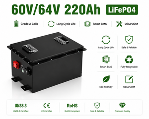 Paquete de Baterías de Litio para Carro de Golf de 60V/64V 220Ah, Celdas de Grado A, BMS Inteligente, Baterías LFP LFP48200, Precio de Fábrica, Producto Personalizable - Product Image 5