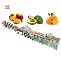 Machine industrielle de lavage, séchage et triage des fruits et légumes avec PLC et moteur en acier inoxydable 304 haute efficacité
