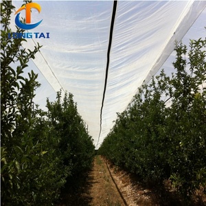 Filet de protection contre la grêle en HDPE, produit vierge alimenté par UV, pour plantes, 100% - Product Image 2