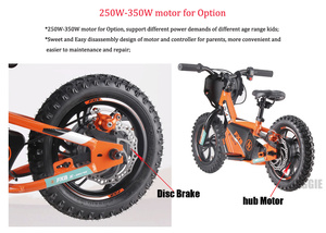 Bicicleta de Equilibrio para Niños de 250W, Diseño Nuevo de Alta Calidad 2024, Suspensión de 12 Pulgadas con Batería de 36V, Cuadro de Aluminio - Product Image 3
