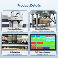 ANTAI PLC Kontrollü Tam Otomatik Blister Paketleme Makinesi Servo Motorlu Çok Renkli 380V Tablet Kapsül Şeker Sakız Alu PVC