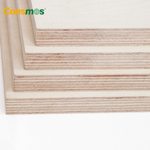 Pannello di <span class=keywords><strong>compensato</strong></span> di betulla europea resistente alle termiti, economico, da 3mm, 6mm, 9mm - Product Image 5