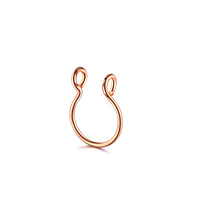 Vente en gros de bijoux de piercing en acier inoxydable et acier chirurgical pour le nez, le corps et les narines, assortiment