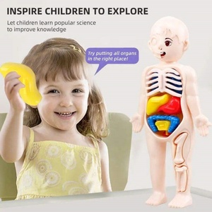 Modèle d'anatomie du corps humain, jouet éducatif - Matériaux en silicone et plastique, assemblage facile, apprentissage scientifique pour les enfants - Product Image 4