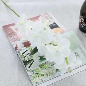 K1004 Artificiale <span class=keywords><strong>vanda</strong></span> fiore di orchidea <span class=keywords><strong>vanda</strong></span> casa fiore decorativo - Product Image 6