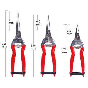 Tijeras de jardín de derivación, podadora con mango de plástico, tijeras de podar de uva, yunque, tijera de recogida de frutas