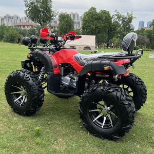 <span class=keywords><strong>Cuatrimoto</strong></span> Deportiva de 2 Plazas, 250cc, 4 Tiempos, Todoterreno, con Neumáticos Reforzados, de Fábrica, con Certificación CE - Product Image 5