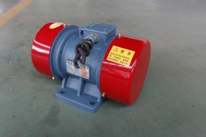 Vibrador de tolva trifásico con motor vibratorio Motor de tamiz vibratorio de hormigón - Product Image 6