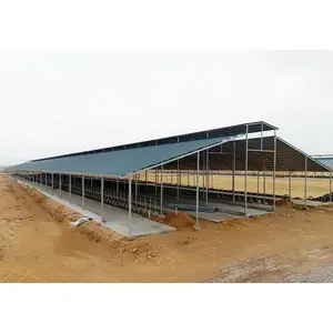 Design 20 ft günstig winziges stallhaus konstruktion stahlkonstruktion stallschuppen geflügelfarm