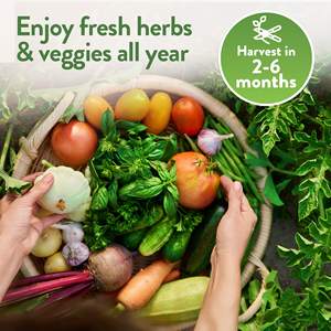 مجموعة الإرث المزروعة في المنزل 70 نوعًا فريدًا غير غمو للزراعة الداخلية والخارجية للخضروات والأعشاب - Product Image 5