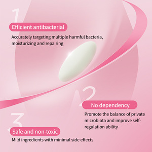 SELUMB produsen supposiory vagina <span class=keywords><strong>Herbal</strong></span> ginekologi Logo kustom pribadi perdagangan luar negeri - Product Image 5