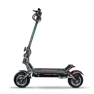 Low price adult scooter DUALTRON MINI MAX Motor 1450W BLDC HUB MOTOR electric scooters