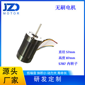 มอเตอร์ดีซีไร้แปรงถ่าน 56 มม. 48V 3000 รอบต่อนาที แบบยึดหน้าแปลน แม่เหล็กถาวร ปิดผนึกอย่างสมบูรณ์ - Product Image 3