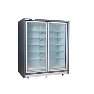 Congelador rápido Vertical de 2 puertas de vidrio para exhibición de comida, congelador para supermercado