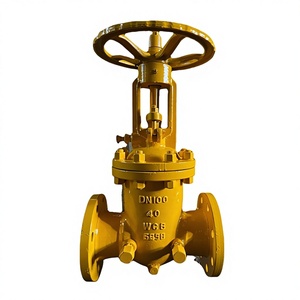   Sello de aceite diferencial manual resistente al azufre KCYZ40Y de acero fundido GB/T12234 DN100 Bajo - Product Image 1