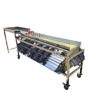 Machine de tri automatique pour fruits, graines, olives, longanes, café et cerises - Product Image 6