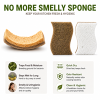 BONTAVE 12-PAK S-vormige milieuvriendelijke krasvrije kokosnootsponsjes van cellulose, natuurlijke keukensponzen