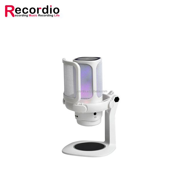 USB Gaming Microphone for PC Condenser Mic with RGB Lights Mute for Streaming Podcast Chat Computer With Adjustable Stand
