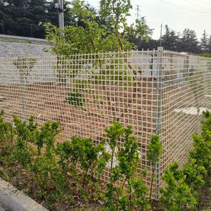 عرض رائع-الحديقة - Product Image 4