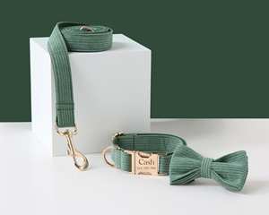 Ensemble collier et laisse personnalisés pour chien avec nœud papillon en velours côtelé vert, porte-sac à excréments et harnais anti-traction pour chiot mâle - Product Image 4