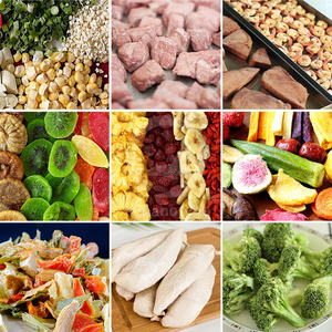 OCEAN Industrial 10 Tray Freeze Dryer Machine Liofilizador Do Leite Marshmallow <b>Vaccum</b> Freeze Dryer - Product Image 6