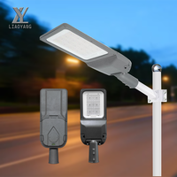Lampadaire AC Led Lampe 50W 75W 100W 120W 150W IP65 pour une utilisation en extérieur Fabriqué par Acme Lighting