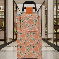 Chariot à provisions de voyage pliant OEM personnalisé chariot à bagages portable pour la liquidation de supermarché fabriqué en Chine