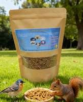 Nourriture pour animaux de compagnie de haute qualité à 100%, nourriture riche en protéines pour animaux, farine de vers de farine séchés pour reptiles, poulets, oiseaux