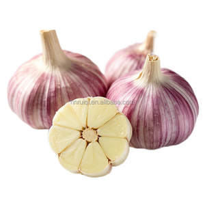 Entrega rápida Precio bajo Promoción 20KG Cartón 4-6CM Tamaño Nuevo Precio de ajo fresco por DHL <span class=keywords><strong>Express</strong></span> - Product Image 3