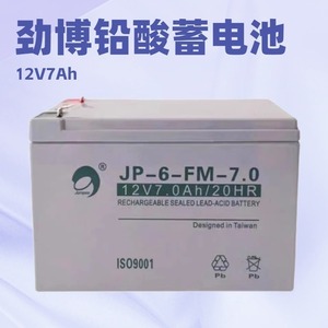 Batterie au plomb scellée JP-HSE-24-12 12V 24Ah pour alimentation de secours UPS - Product Image 5
