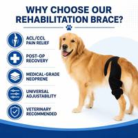 PETSGUARD Attelle Professionnelle pour Genou de Chien, Système de Sangle Dorsale pour L'AVC et L'ACL des Pattes Arrière, en Polyester Respirant Perforé Anti-Rayures