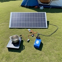 Cuisinière à Induction Solaire Portable 24V à Foyer Unique 600W Haute Puissance pour Maison, Camping-Car et Voiture - Prise US