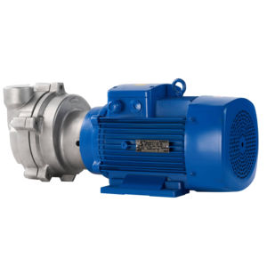 Kosmetische Füllung 2BV Wasser ring Vakuumpumpe - Product Image 1