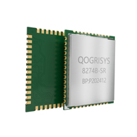 Module SoC WiFi double bande RTL8735BM BLE5.0 2.4G 5GHz 802.11n avec NPU 0.4TOPS pour passerelle IoT