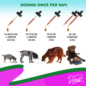 Gouttes naturelles anti-démangeaisons pour infection à levures chez le chien-Supplément à base de plantes pour le soulagement des allergies cutanées Réduit l'inflammation Irritation immunitaire - Product Image 5