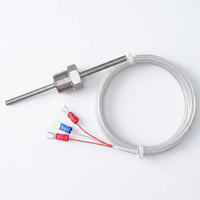 RTD PT100 PT1000 Temperature Sensor Probe Class a Stainless Steel with 1m 3m 5m Fiberglass Cable for Gas Liquid