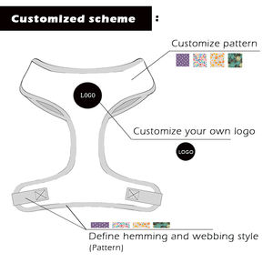 Luxus-Zubehör für Hunde und Katzen Nylon Verstellbares Metall-Schnallen Hundehalsband und Leine Set 2021 Maßgefertigtes Hundegeschirr Haustierbedarf - Product Image 3