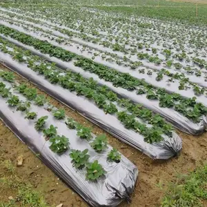 Cubierta de suelo de plástico negro y plata agrícola, película de muesca de plástico