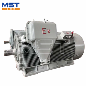 มอเตอร์ไฟฟ้าแรงสูงแบบป้องกันการระเบิด รุ่น YBX3 ซีรีส์ 11kV 315-1250kW, Ex d IIB T4, IE3, IP56 สำหรับอุตสาหกรรมน้ำมันและก๊าซ - Product Image 3