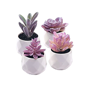 Mini selecciones suculentas artificiales sin maceta diferentes <span class=keywords><strong>tipos</strong></span> surtido suculento <span class=keywords><strong>de</strong></span> imitación <span class=keywords><strong>Echeveria</strong></span> Agave arreglo Floral decoración del hogar - Product Image 1