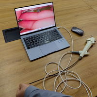 Cystoscope vétérinaire jetable flexible pour l'examen de la vessie des chiens et des chats