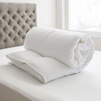Sortie d'usine hypoallergénique respirant blanc longue fibre couverture de remplissage couette en soie de mûrier