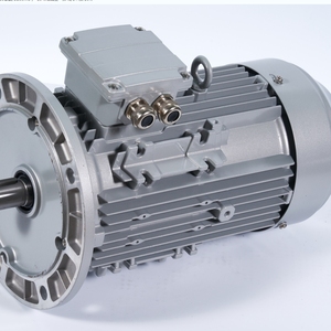 Produits Tendances Moteur à Induction Industriel Haute Puissance 22/30/37/45/55/75/90/110KW 220-690V Personnalisé pour les Applications Industrielles Générales - Product Image 4