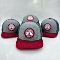 Gorras de Béisbol Personalizadas de Algodón Unisex para Adultos, Gorra de Golf Colorida con Logotipo Bordado Personalizado, Gorra Trucker Richardson 112