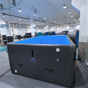 OEM ODM DWF <strong>Inflatable</strong> Wire Drawing <strong>Pool</strong> Large Size Commercial <strong>Inflatable</strong> <strong>Pool</strong> <strong>for</strong> Outdoor Backyard Party with Pump - Product Image 4